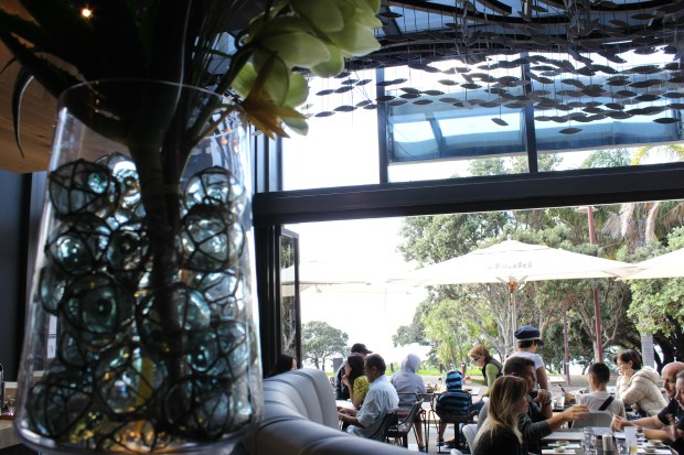 auckland takapuna tokyobay restaurant