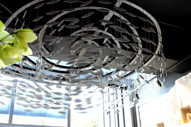 auckland takapuna tokyobay restaurant