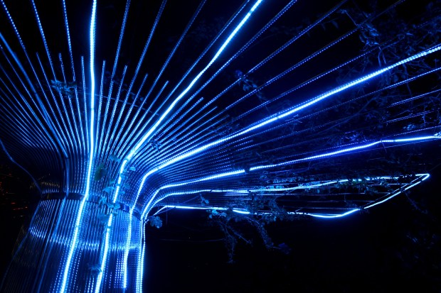 stellar matariki auckland lights art