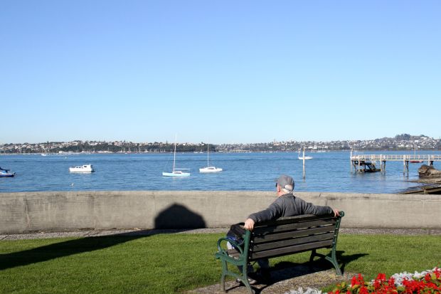 devonport auckland view