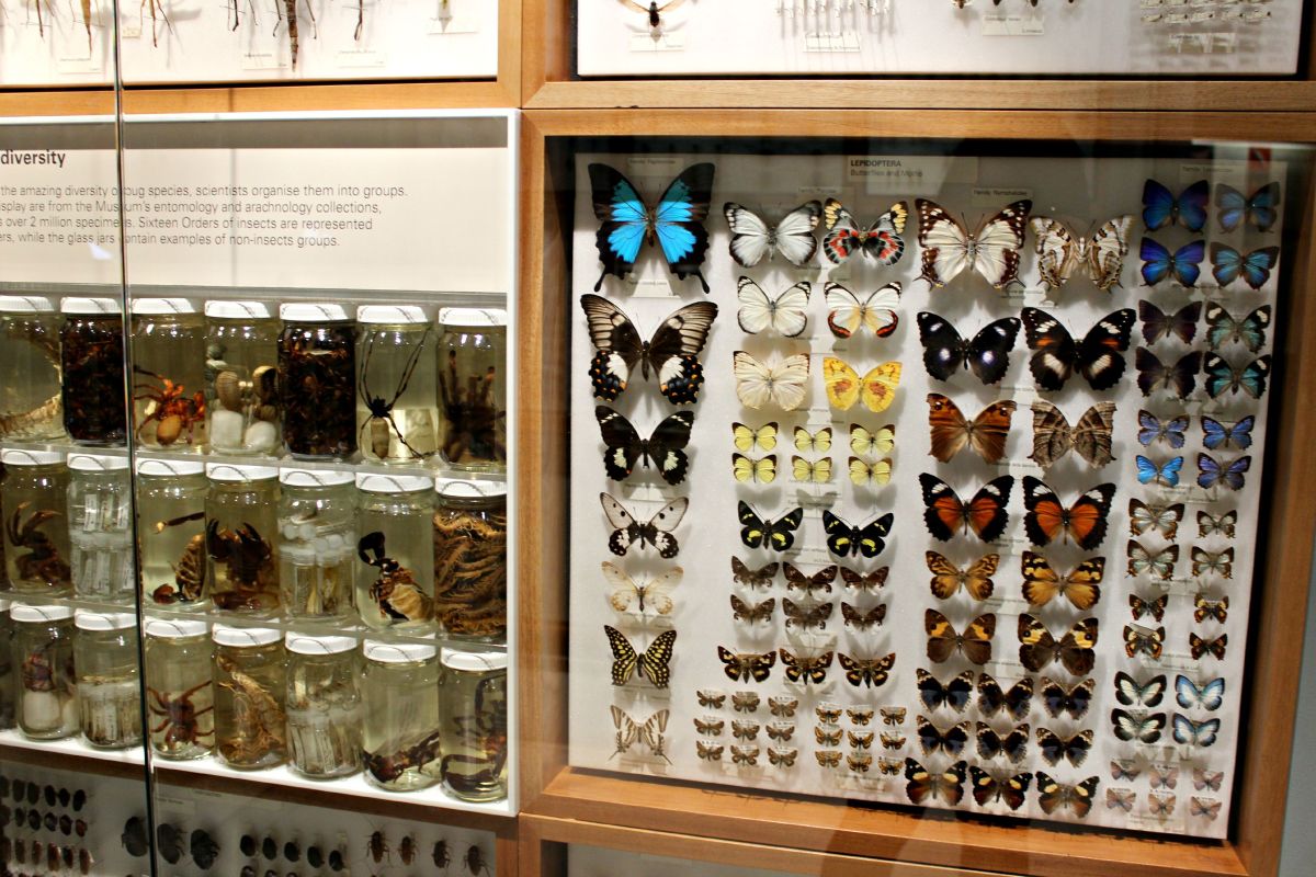 melbourne travel architecture building musuem