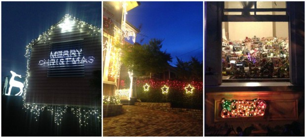 franklin road auckland christmas lights