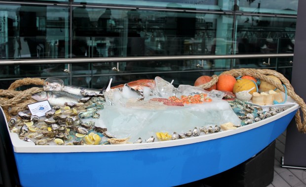 auckland seafood festival fish oysters salmon food