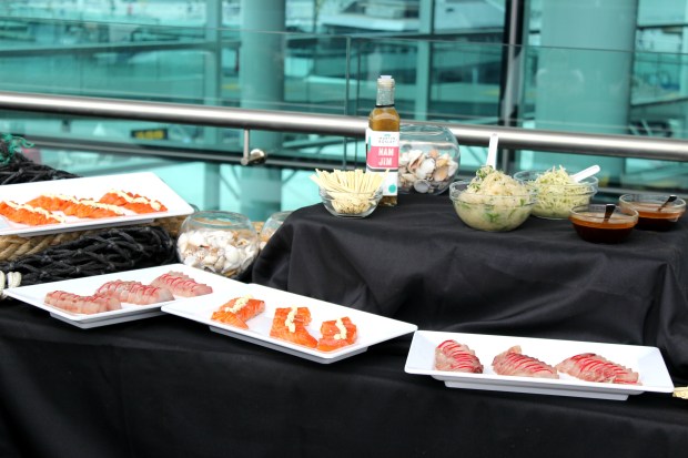auckland seafood festival salmon sashimi food fish