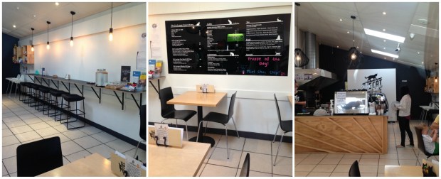 The Cat Lounge Auckland Cafe