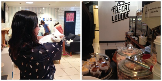 april nzbloggers brunchclub the cat lounge