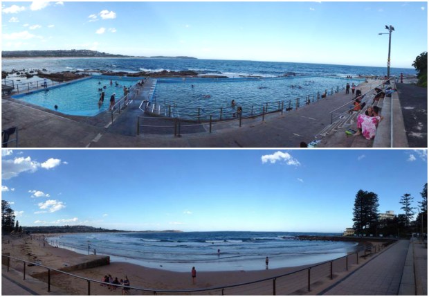 dee why beach panorama.jpg