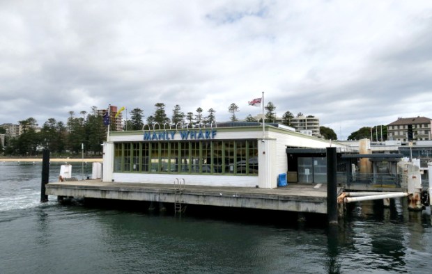 Manly Wharf ferry terminal.jpg