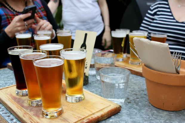 The Garden Shed craft beers.jpg