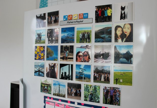 magnapix nz fridge magnets