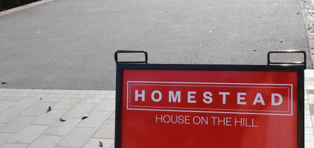 homestead house on a hill.jpg