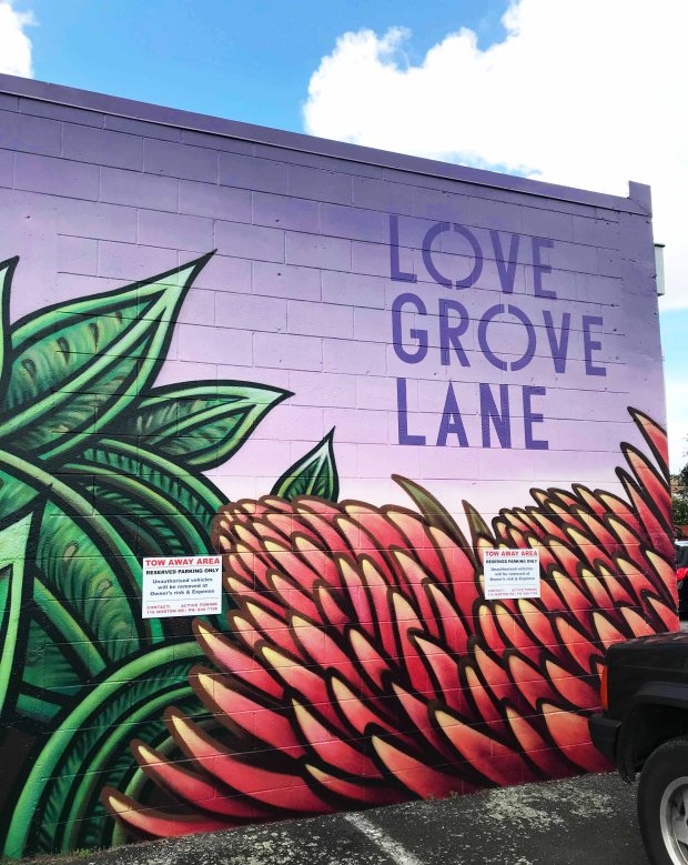 love grove lane hamilton east.jpg