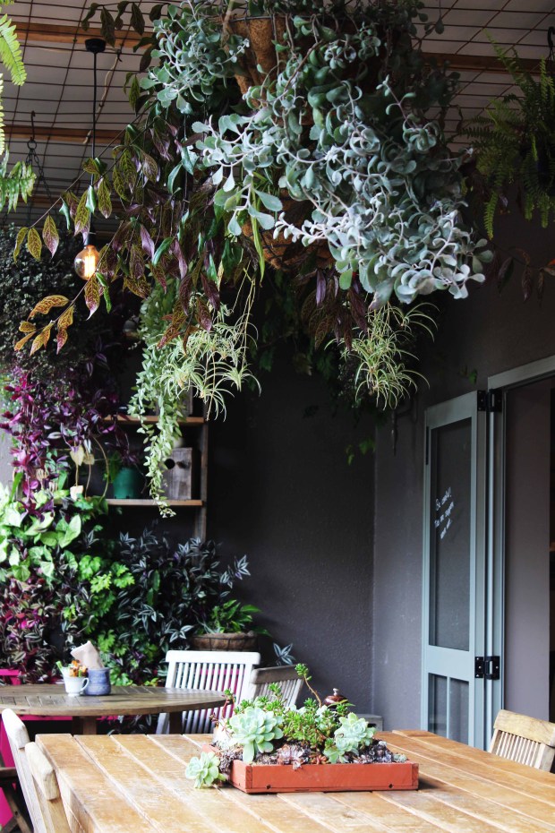 two birds eatery hamilton.jpg