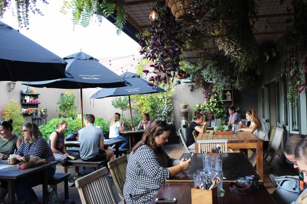 two birds eatery outdoor.jpg