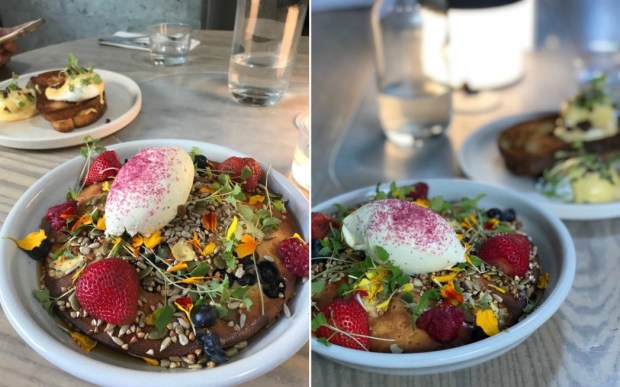 Higher Ground Melbourne Hotcake