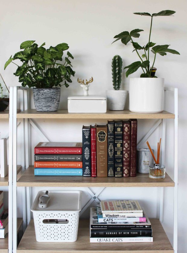 shelf lounge home decor.jpg