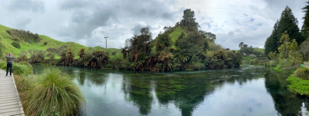 Blue spring Putaruru walkway
