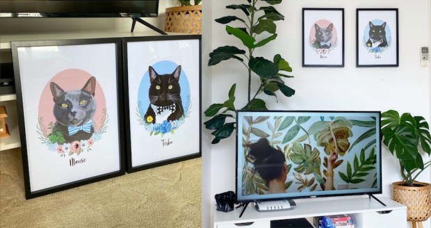 buttersdaydream cat portraits