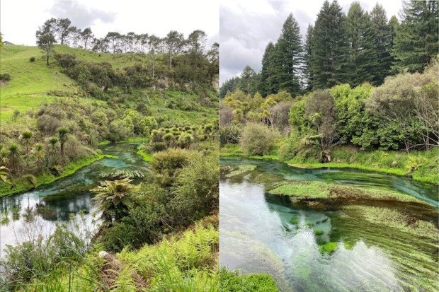 Putaruru Blue Spring