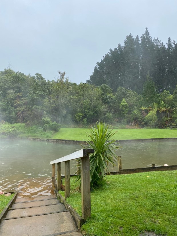 Waitangi Soda Springs