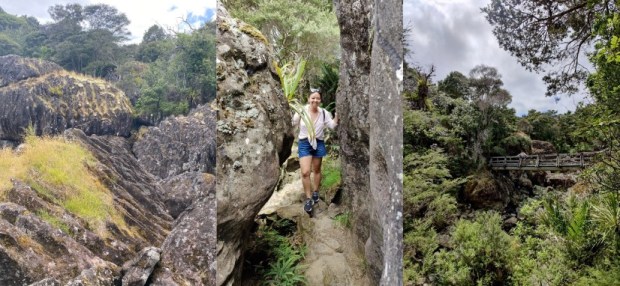 Wairere Boulders nature reserve