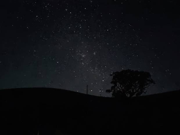 Whangaruru night sky