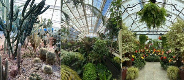 Christchurch Botanic Gardens