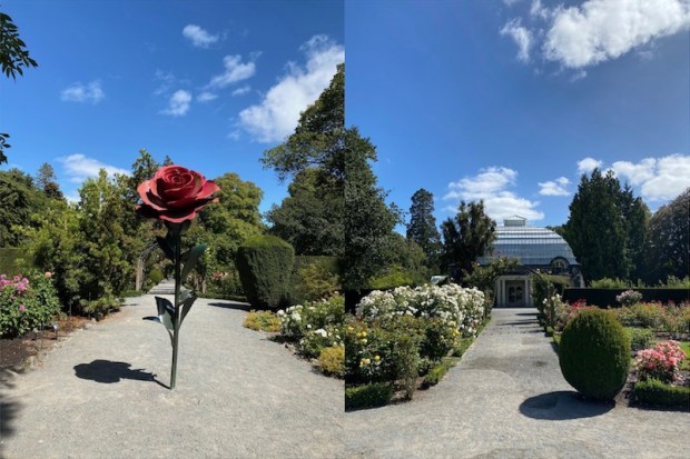 Christchurch Botanic Gardens