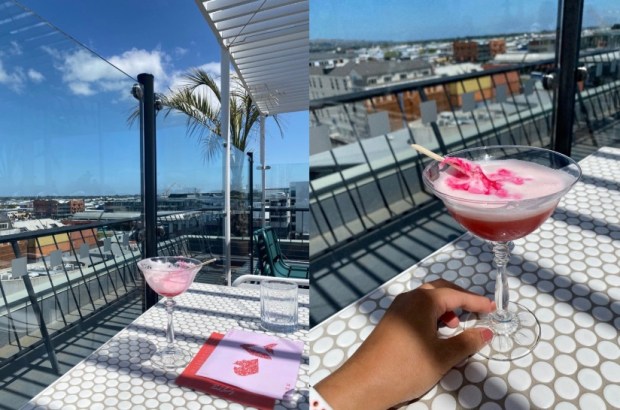 Pink Lady rooftop bar