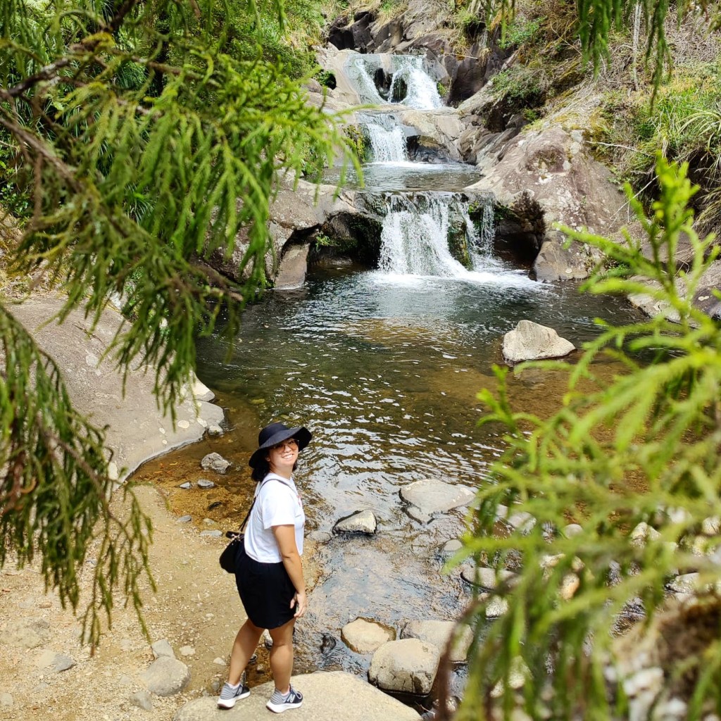 This image has an empty alt attribute; its file name is rapaura-watergardens-waterfall.jpg