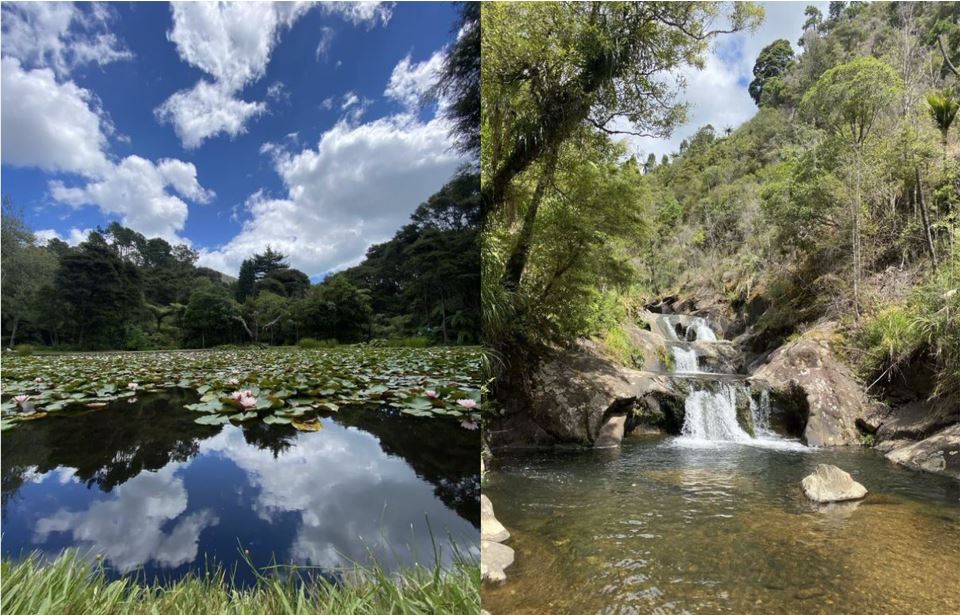 This image has an empty alt attribute; its file name is rapaura-watergardens.jpg